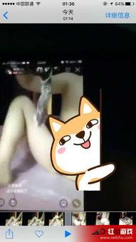 怎么看黄鳝女主播视频,网络直播的道德边界与监管挑战