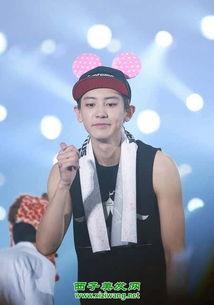 朴灿烈整容前照片,从青涩少年到魅力偶像的蜕变之路